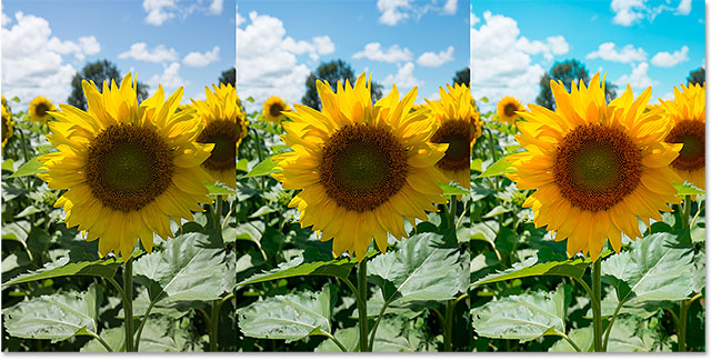 A comparison of the same photo in sRGB, Adobe RGB and ProPhoto RGB. Image © 2013 Photoshop Essentials